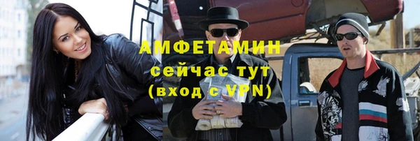 прущие грибы Абаза
