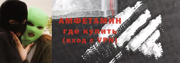 прущие грибы Абаза