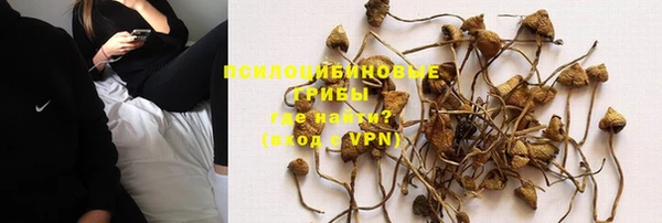 шишки Абинск