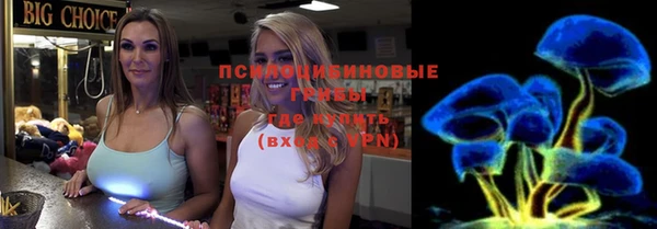 шишки Абинск