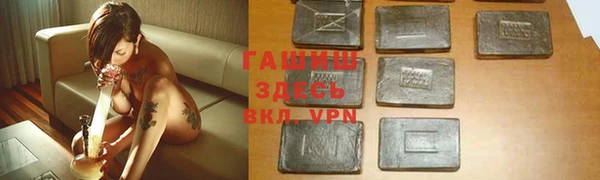 прущие грибы Абаза