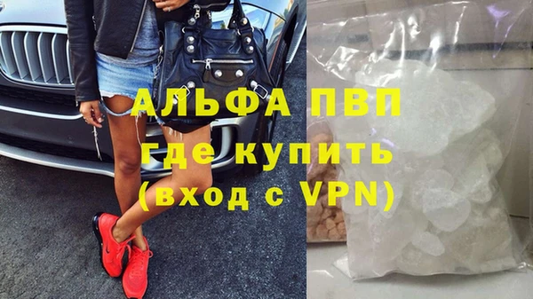 прущие грибы Абаза