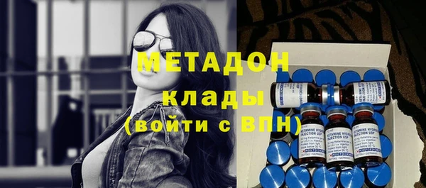 прущие грибы Абаза