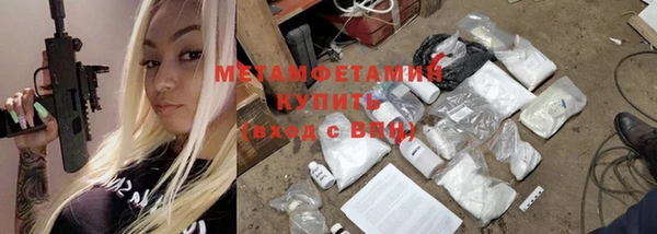 прущие грибы Абаза