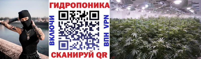 Конопля тримм  купить наркотики сайты  Краснодар 